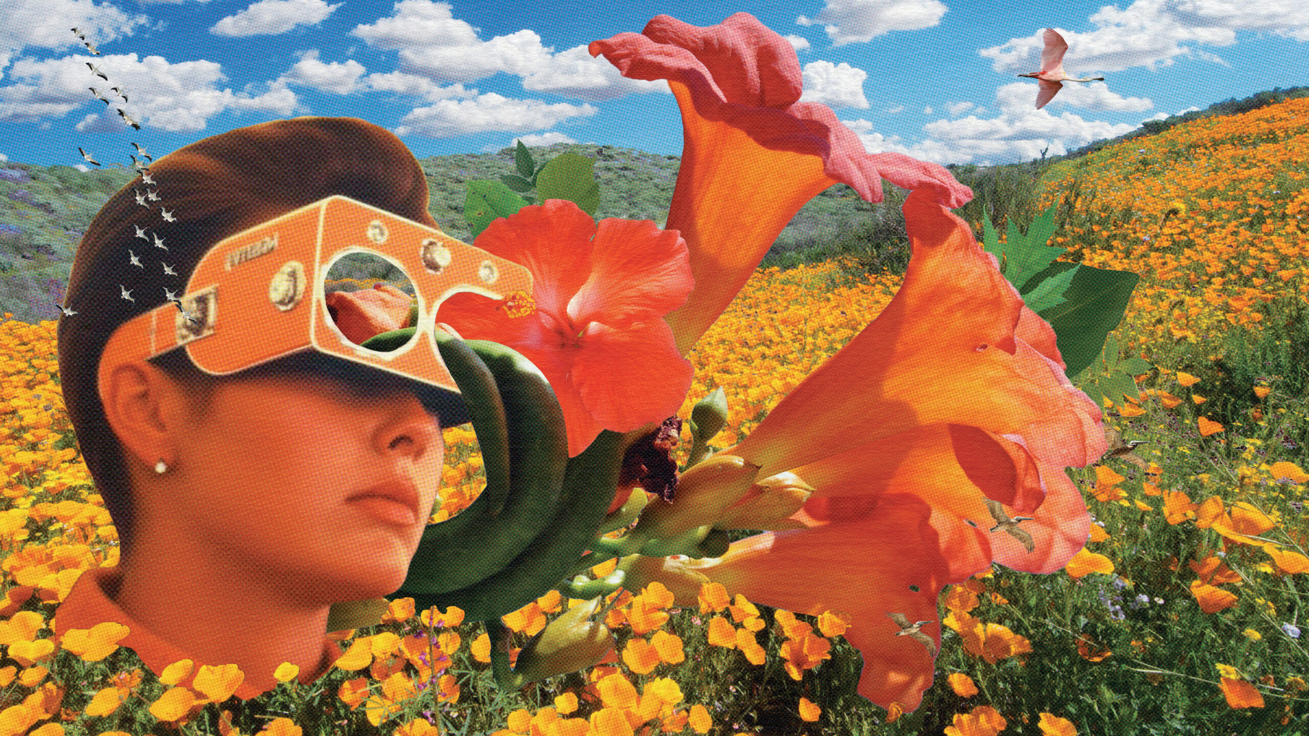EverGreen Surreal Garden Collages